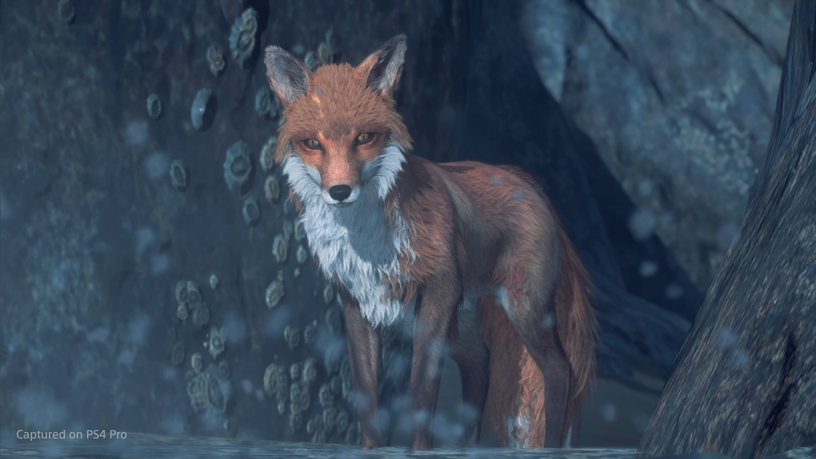 Ghost of Tsushima - Photo Mode