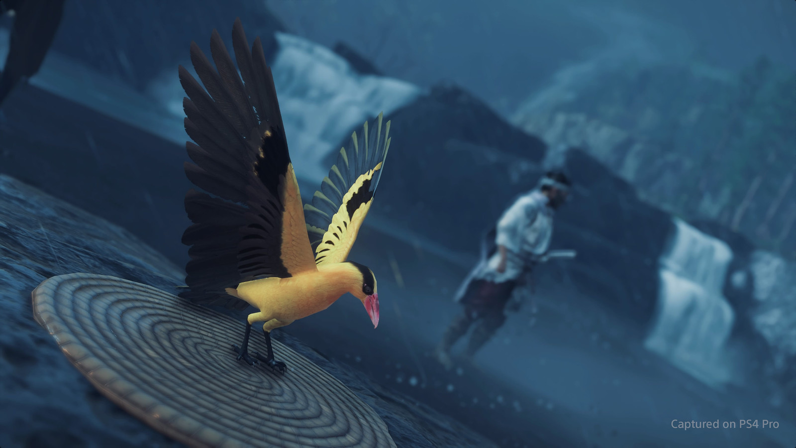 Ghost of Tsushima - Photo Mode