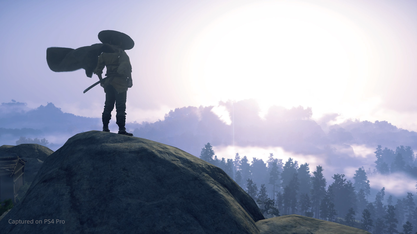 Ghost of Tsushima - Photo Mode