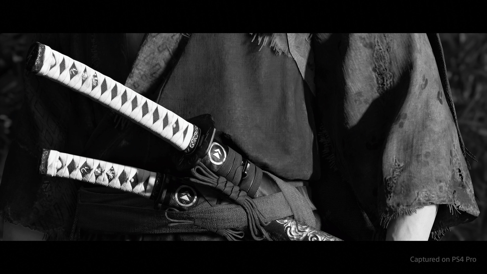 Ghost of Tsushima - Photo Mode