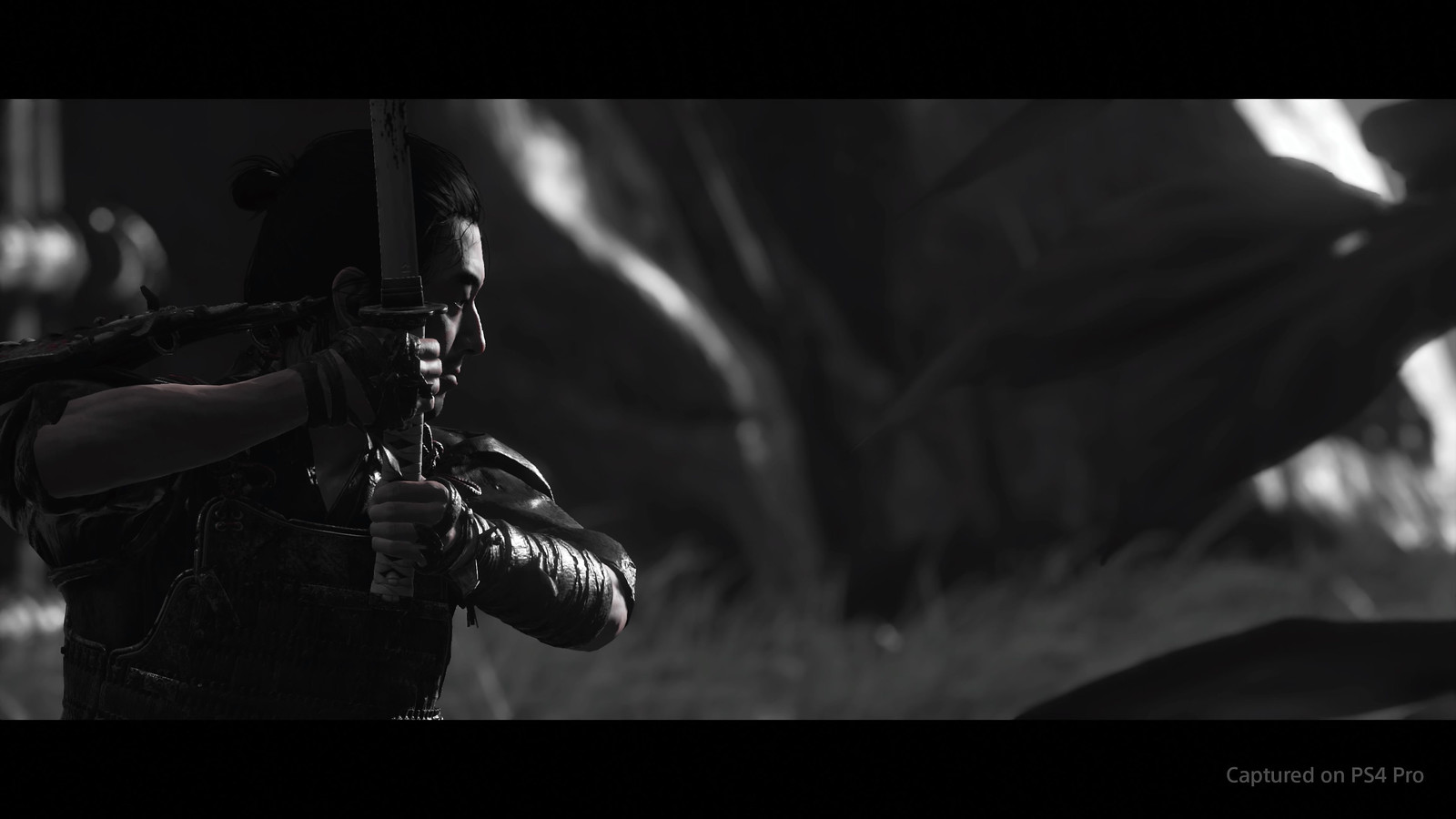 Ghost of Tsushima - Photo Mode