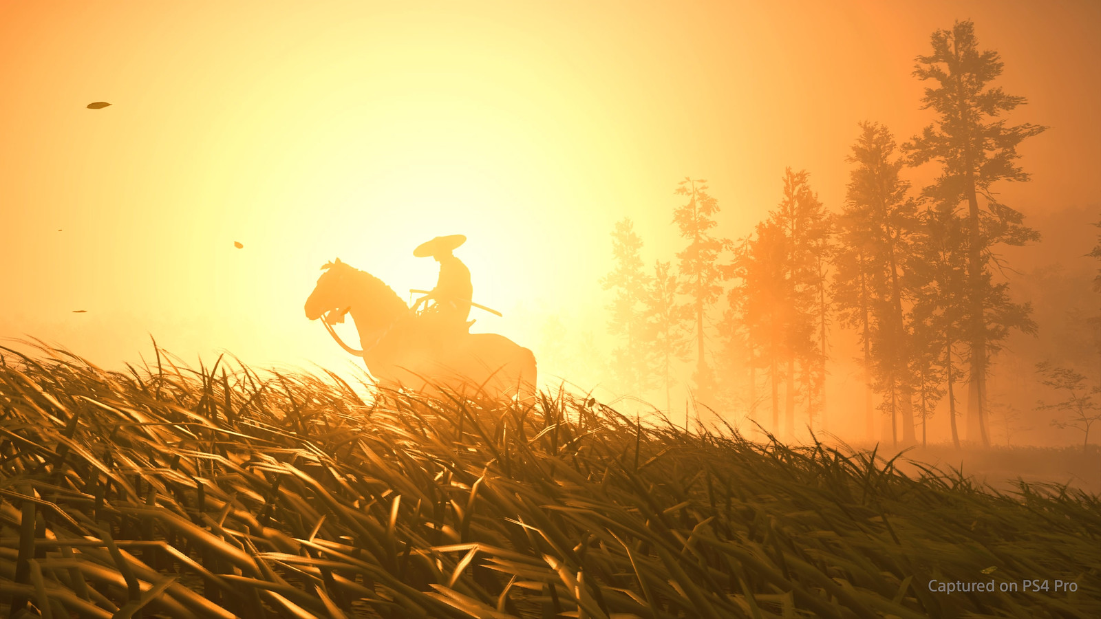 Ghost of Tsushima - Photo Mode