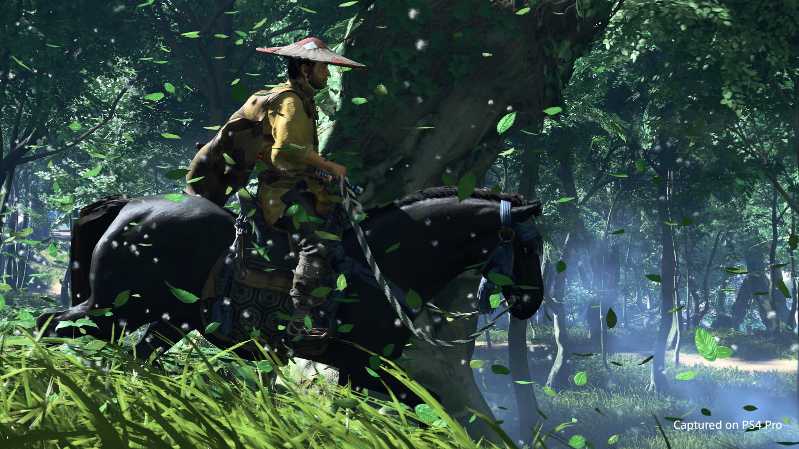 Ghost of Tsushima - Photo Mode