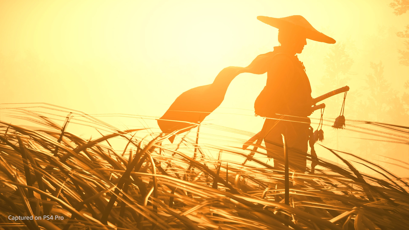 Ghost of Tsushima - Photo Mode