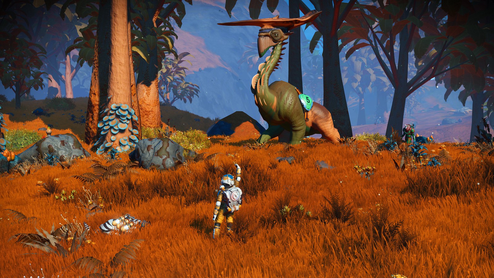 No Man's Sky - Companions