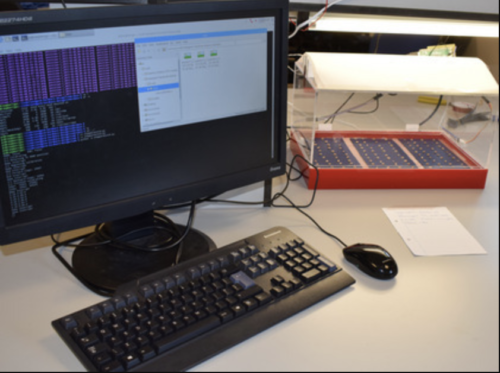 seed genotyping at a computer