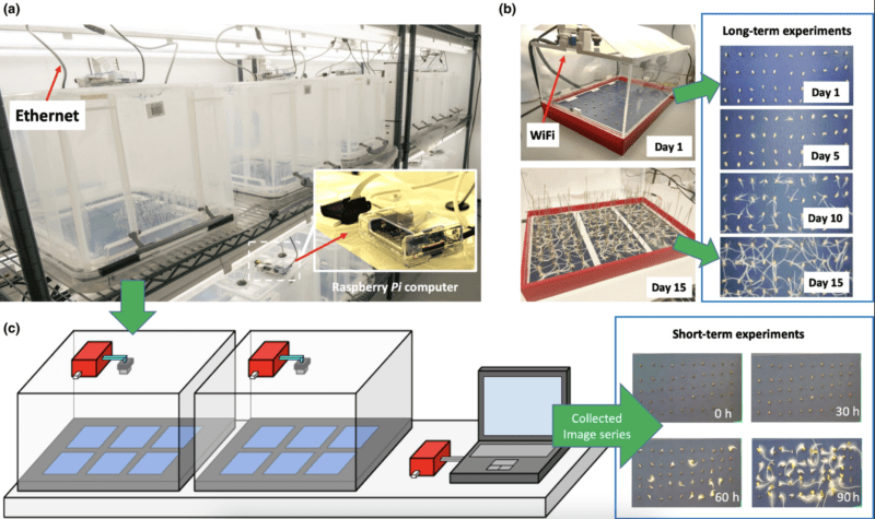 Two types of SeedGerm hardware with wired and wireless connectivity used for acquiring seed germination image series for different crop species