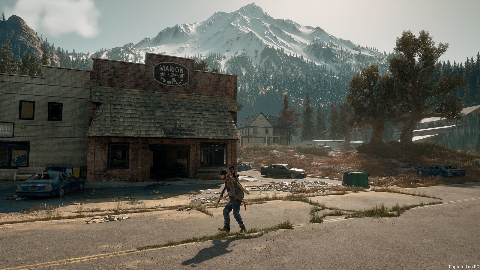 Days Gone (PC)