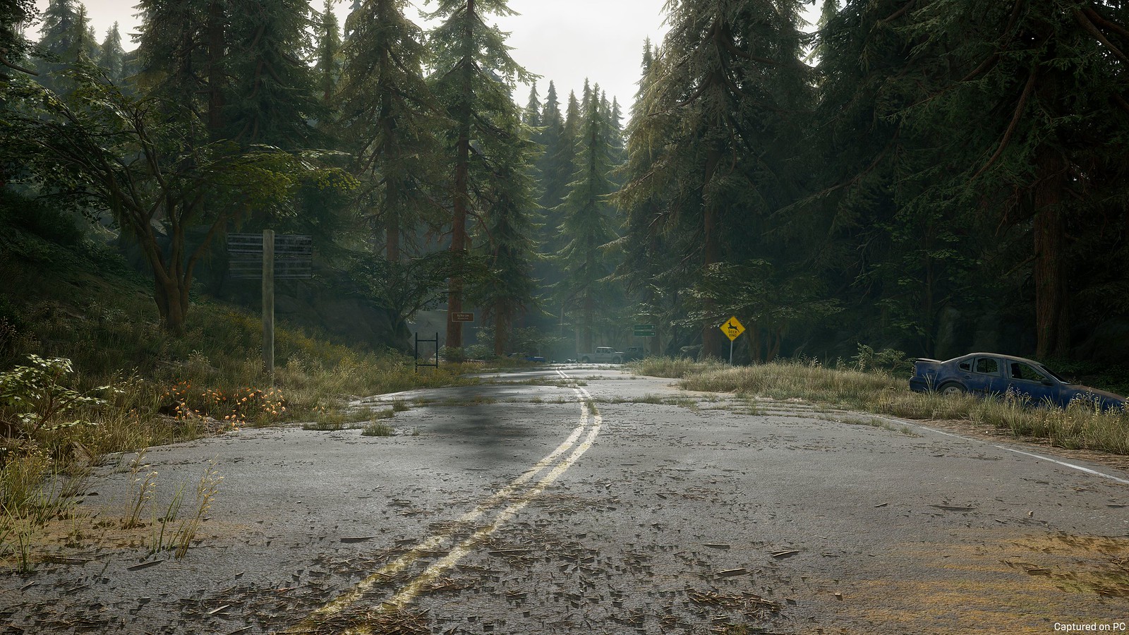 Days Gone (PC)