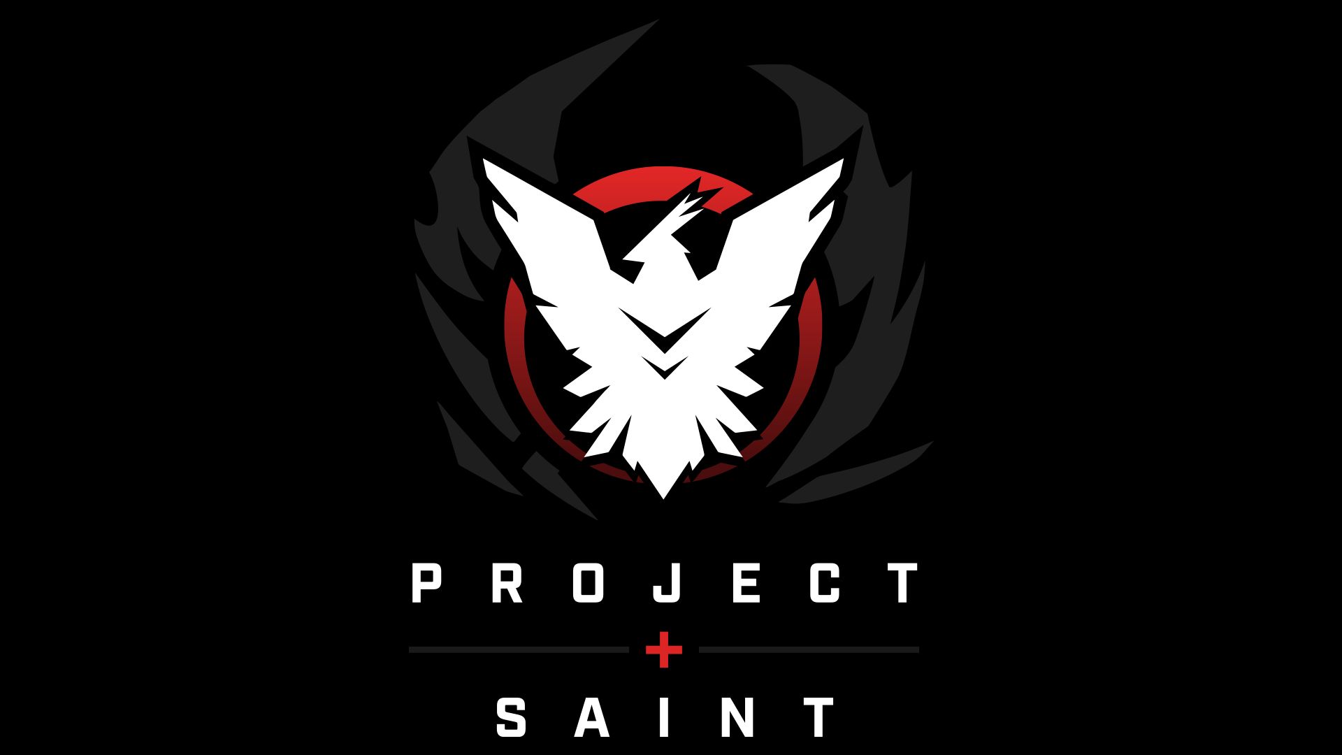 Rogue Company - Project Saint Asset